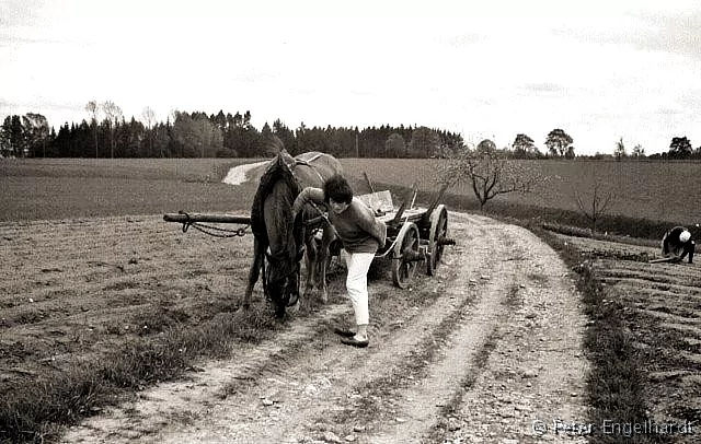 Auf der Burghalde Ochsenhausen 1964