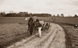1964-Burghalde